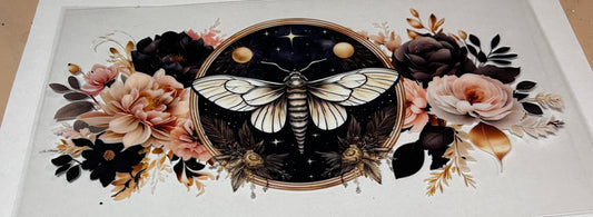 Lunar Moth